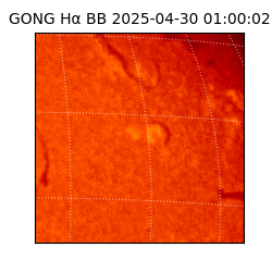 gong - 2025-04-30T01:00:02