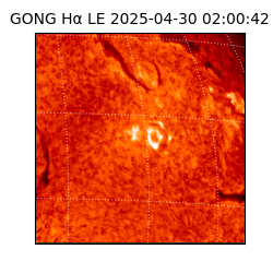 gong - 2025-04-30T02:00:42