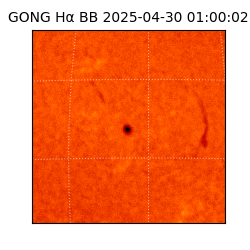 gong - 2025-04-30T01:00:02