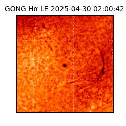 gong - 2025-04-30T02:00:42