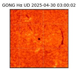 gong - 2025-04-30T03:00:02