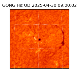 gong - 2025-04-30T09:00:02