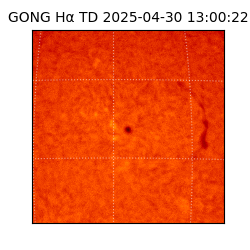 gong - 2025-04-30T13:00:22