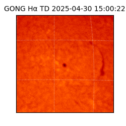 gong - 2025-04-30T15:00:22