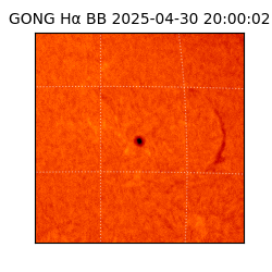 gong - 2025-04-30T20:00:02