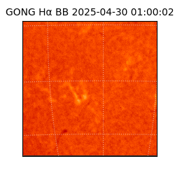 gong - 2025-04-30T01:00:02