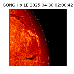 gong - 2025-04-30T02:00:42