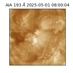 saia - 2025-05-01T08:00:04.843000