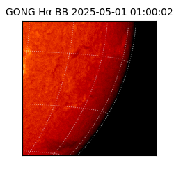 gong - 2025-05-01T01:00:02