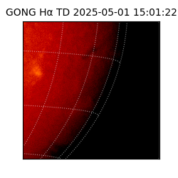 gong - 2025-05-01T15:01:22