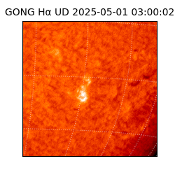 gong - 2025-05-01T03:00:02