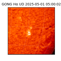 gong - 2025-05-01T05:00:02