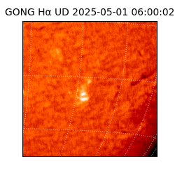 gong - 2025-05-01T06:00:02