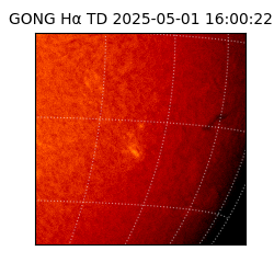 gong - 2025-05-01T16:00:22