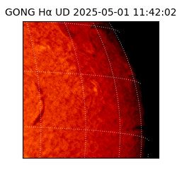 gong - 2025-05-01T11:42:02