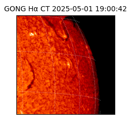 gong - 2025-05-01T19:00:42
