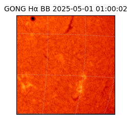 gong - 2025-05-01T01:00:02