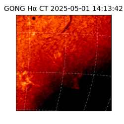 gong - 2025-05-01T14:13:42