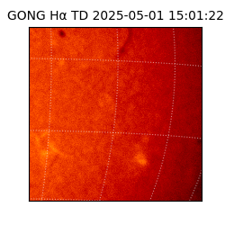 gong - 2025-05-01T15:01:22