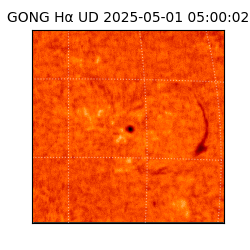 gong - 2025-05-01T05:00:02