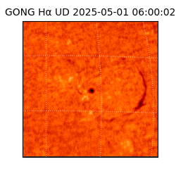 gong - 2025-05-01T06:00:02