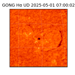 gong - 2025-05-01T07:00:02
