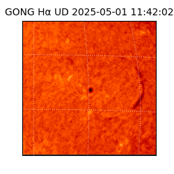 gong - 2025-05-01T11:42:02