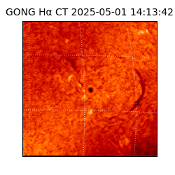 gong - 2025-05-01T14:13:42