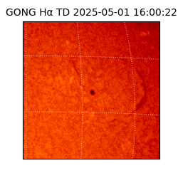 gong - 2025-05-01T16:00:22
