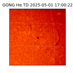 gong - 2025-05-01T17:00:22