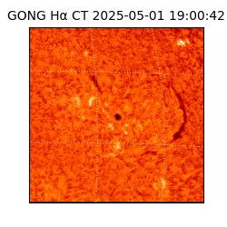gong - 2025-05-01T19:00:42