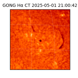 gong - 2025-05-01T21:00:42