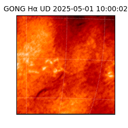 gong - 2025-05-01T10:00:02