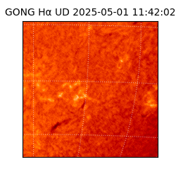 gong - 2025-05-01T11:42:02