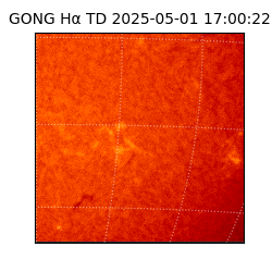 gong - 2025-05-01T17:00:22