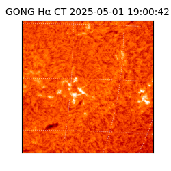 gong - 2025-05-01T19:00:42