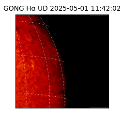 gong - 2025-05-01T11:42:02