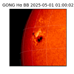 gong - 2025-05-01T01:00:02