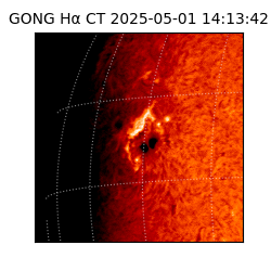 gong - 2025-05-01T14:13:42