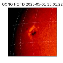 gong - 2025-05-01T15:01:22