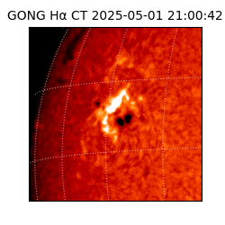 gong - 2025-05-01T21:00:42
