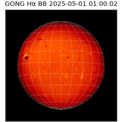 gong - 2025-05-01T01:00:02