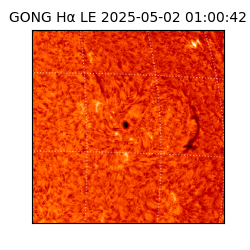 gong - 2025-05-02T01:00:42