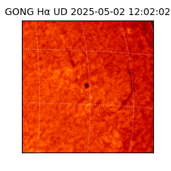 gong - 2025-05-02T12:02:02