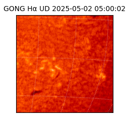 gong - 2025-05-02T05:00:02