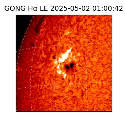 gong - 2025-05-02T01:00:42