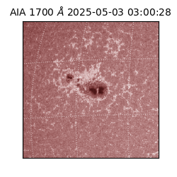 saia - 2025-05-03T03:00:28.719000