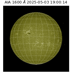 saia - 2025-05-03T19:00:14.126000
