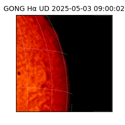 gong - 2025-05-03T09:00:02