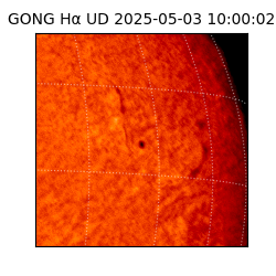 gong - 2025-05-03T10:00:02
